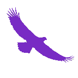 Relaxation aigle envol violet 158x158