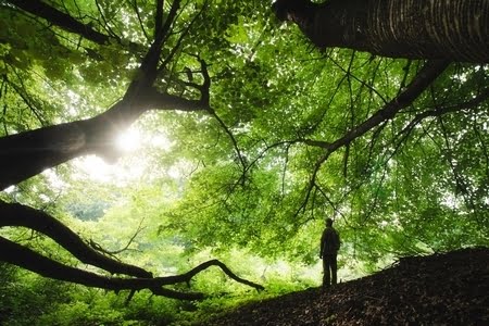 Accompagnement psychologique et émotionnel - 450x300 thérapie de couple - rennes
